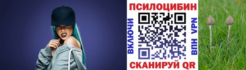 даркнет сайт  Новосокольники  Галлюциногенные грибы Psilocybine cubensis 