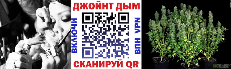 Канабис AK-47  закладки  Новосокольники 